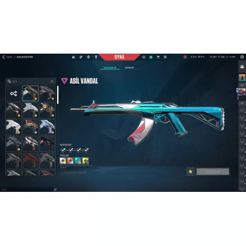  kelebek yagmacı karambit dolu vandal full hesap